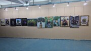نمایشگاه نقاشی «کُنار، درخت زندگی» در دزفول گشایش یافت