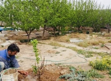 ۲۱۹ انشعاب غیر مجاز آب در خواف شناسایی شد