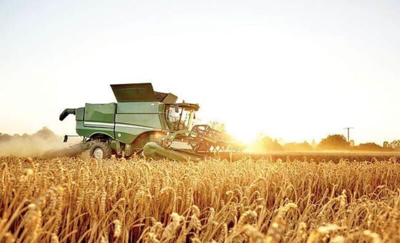 امکان افزایش ۲ برابری تولید گندم در خوزستان وجود دارد