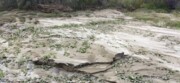 بارش‌ها در تربت‌حیدریه ۸۰ درصد افزایش یافت