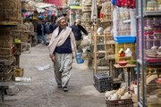 تصاویر اختصاصی ایرنا از بازار پرنده فروشان کابل
