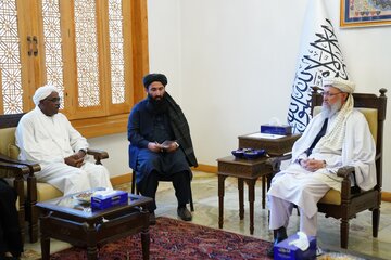افغانستان باید در نشست آینده سازمان همکار‌ی‌های اسلامی حضور داشته باشد