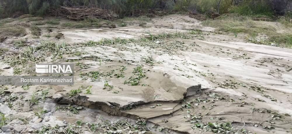 سیلاب و باران ۲ هزار و ۴۷۰ میلیارد ریال به کشاورزی قصرقند خسارت زد