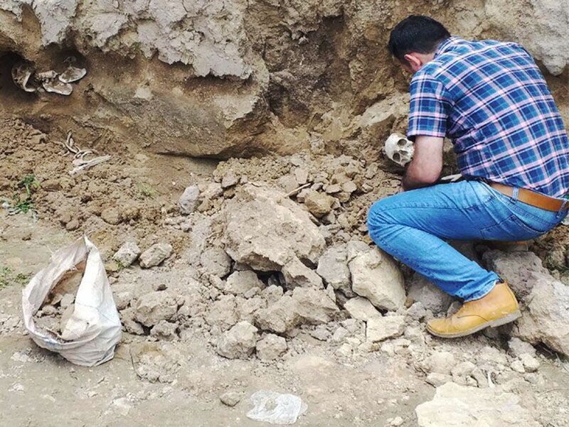 انجام نخستین پژوهش دانشگاهی حوزه باستان‌شناسی جنایی در دانشگاه تهران