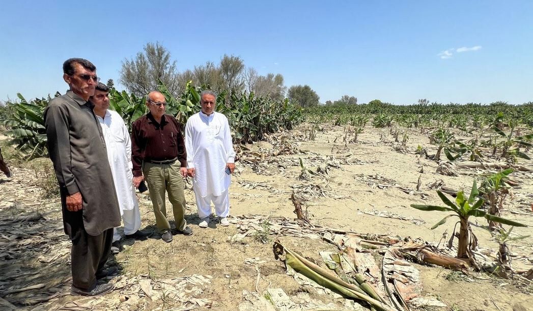 خسارت ۲۱ هزار میلیارد ریالی سیلاب به بخش کشاورزی سیستان و بلوچستان
