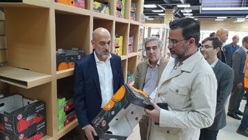 معاون وزیر صمت: صنعت شوینده ایران به خودکفایی رسید