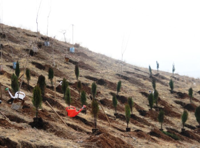 ۸۰ درصد زباله های تبریز در خط بازیافت