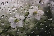افزایش ۲۲ درصدی بارندگی‌ها در کرمانشاه و ثبت ۵۴۹ میلیمتر باران