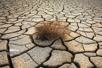 بارندگی‌های اخیر نیاز آبی استان سمنان را تامین نکرد