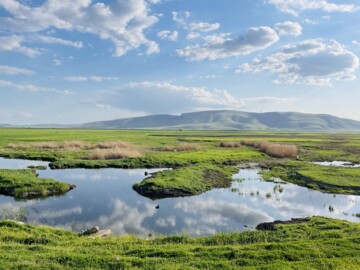 آغاز دوباره زندگی در بهشت هزار تکه ایران