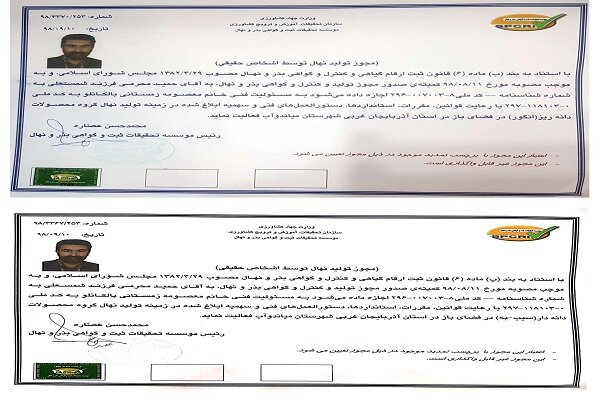 نهال گردو اصلاح شده فقط ۵۰ هزار و میوه 40الی 50 هزار 1 همه نهال های کمیاب و حتی نایاب را می توانید در نهالستان طبیعت سبز پیدا کنید
