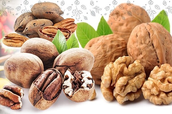 راز سلامتی بهاری؛ خوراکیهای ضد التهاب در سبد غذایی شما