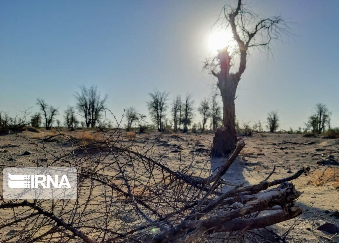 سمنان نخستین استان خشک کشور است/ کاهش بارش‌ها و ضرورت تامین منابع آبی پایدار
