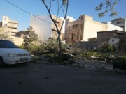 فیلم|  شکسته شدن درختان بلوار اصلی شهر ملکشاهی در اثر وزش باد شدید