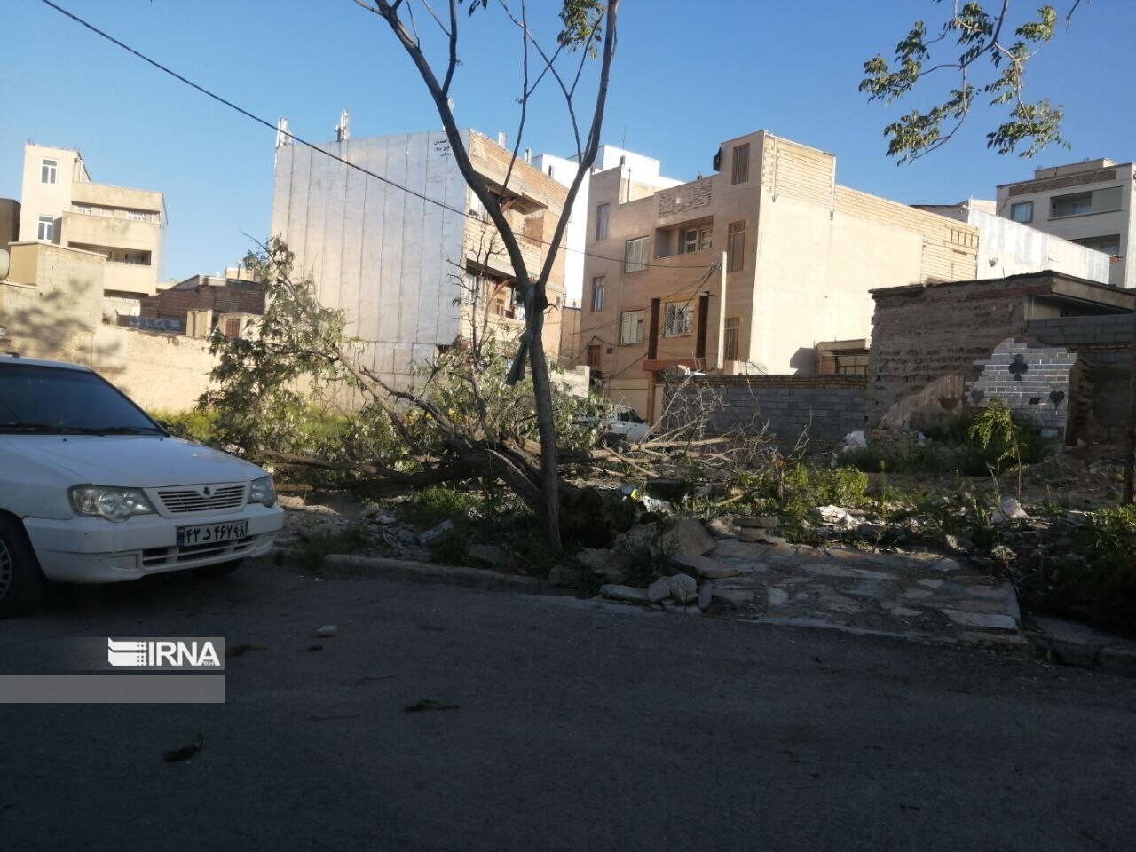 فیلم|  شکسته شدن درختان بلوار اصلی شهر ملکشاهی در اثر وزش باد شدید