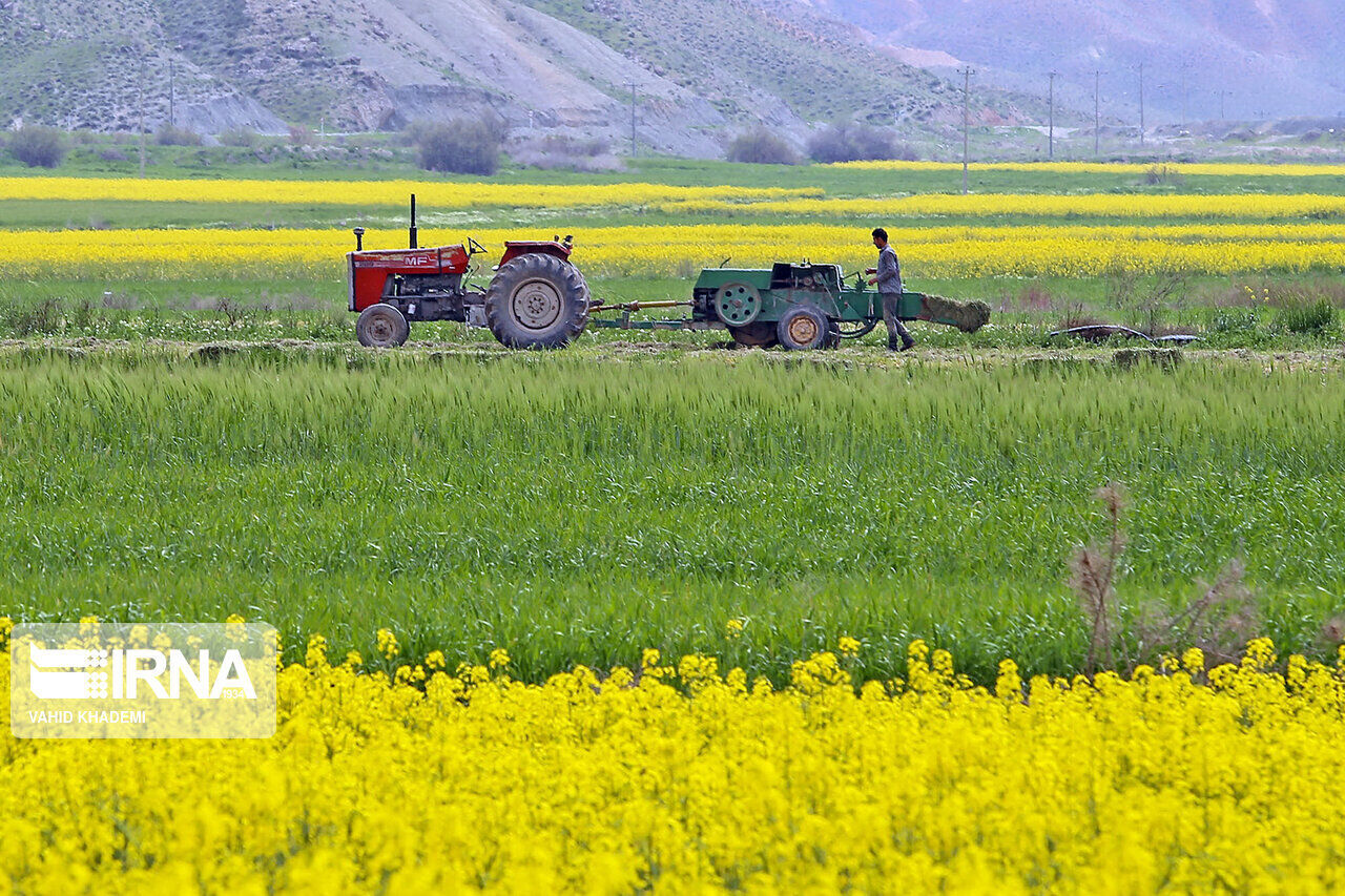 ۶۲۶ هکتار از اراضی کشاورزی اصفهان تجهیز و نوسازی شد