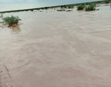 سیلاب بخشهایی از «سنگان» خواف را فرا گرفت