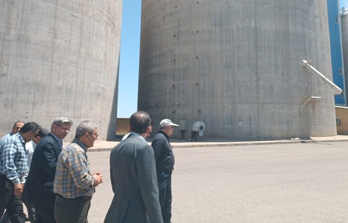 ۴۳۲ هزار تن گندم از کشاورزان خوزستانی خریداری شد