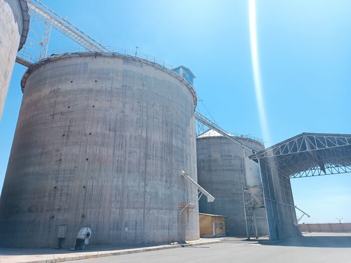 ۴۳۲ هزار تن گندم از کشاورزان خوزستانی خریداری شد