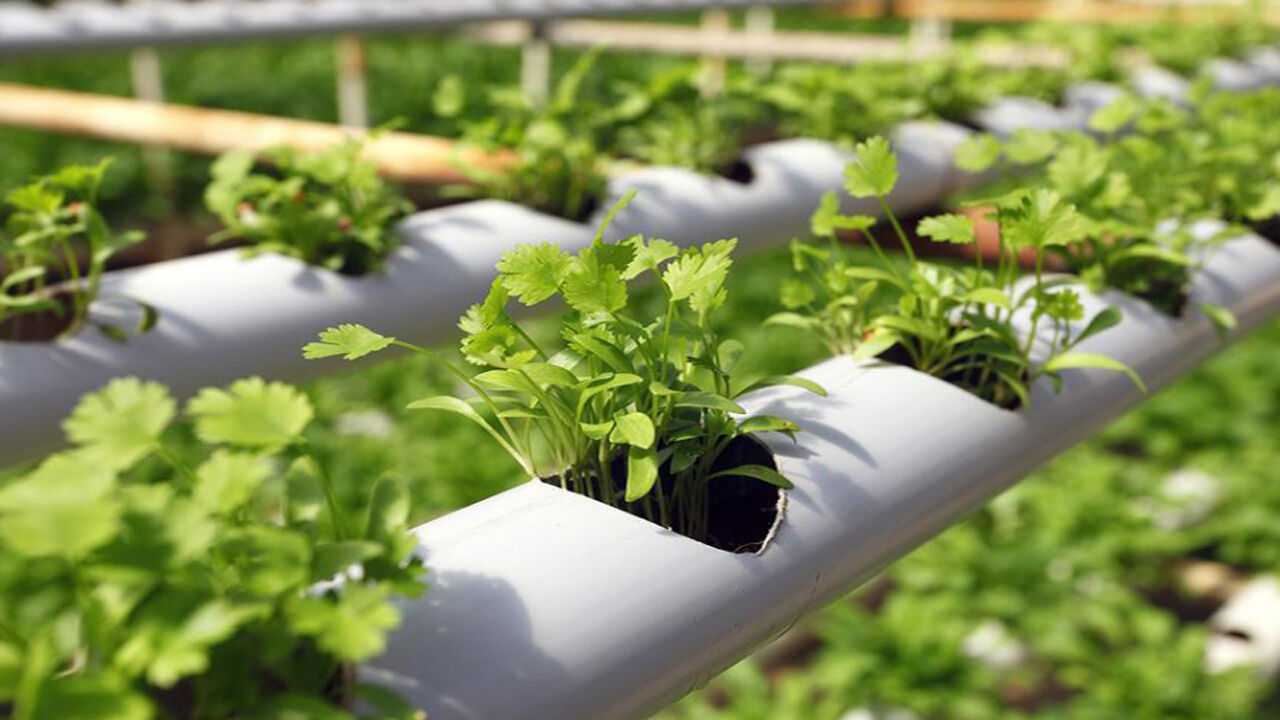 نفوذ فناوری های تحول زا در کشاورزی ایران شتاب میگیرد