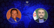 تاکید امیرعبداللهیان بر استمرار همکاری های ایران و آفریقای جنوبی در عرصه های بین المللی