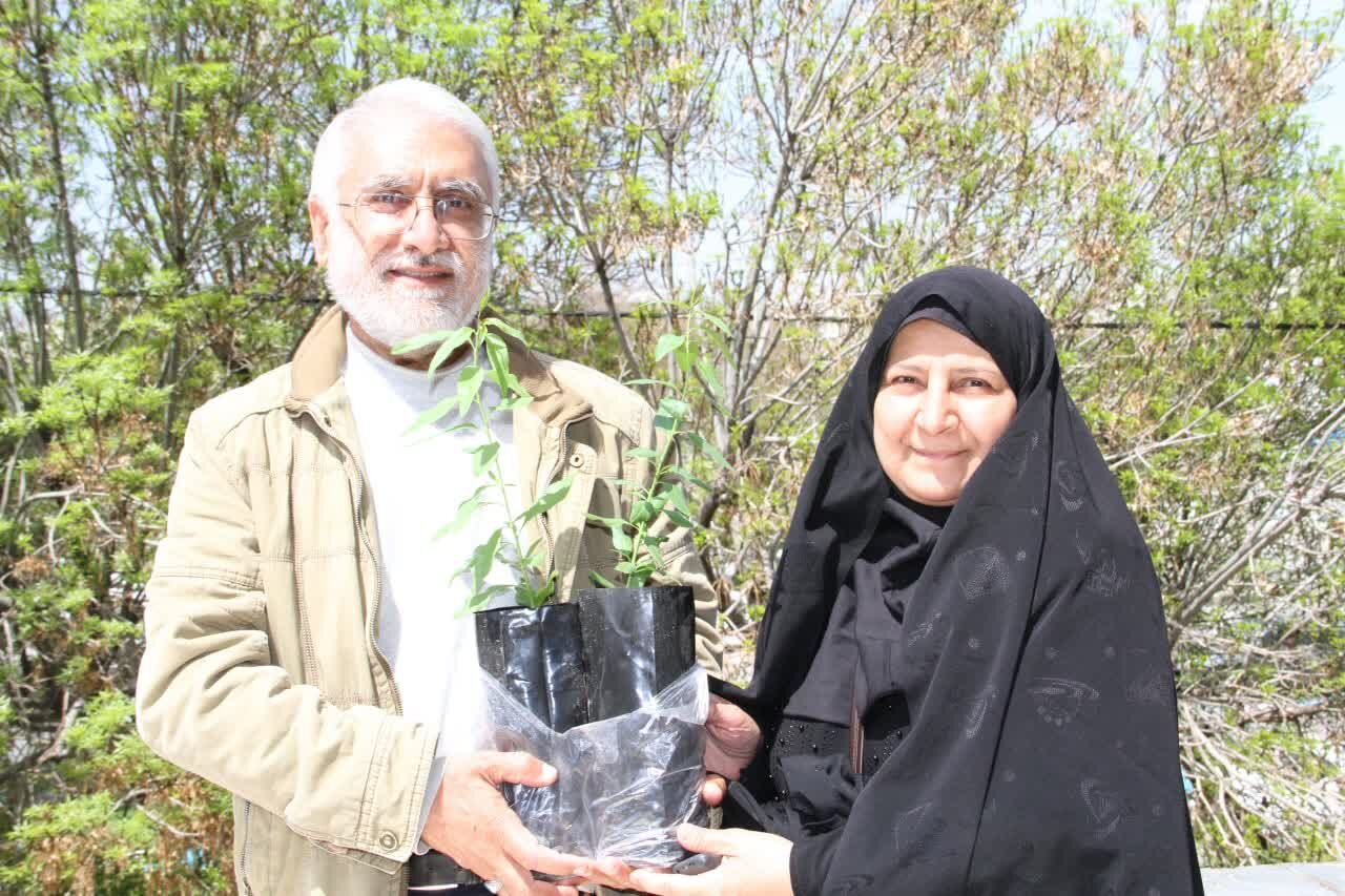 فیلم| زوج همدانی بیش از ۱۰۰ نهال بادام در حیاط منزل مسکونی تولید کردند