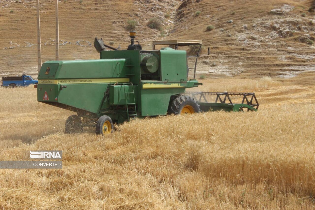 گندمکاران ایلامی برای حضور کمباین در مزارع خود شتاب نکنند