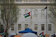 دانشجویان دانشگاه هاروارد پرچم فلسطین را به جای پرچم آمریکا برافراشتند+فیلم