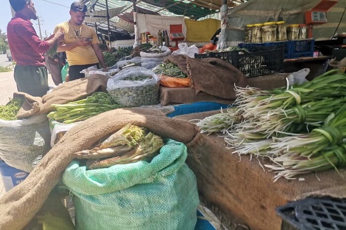 حراج میراث طبیعی زاگرس