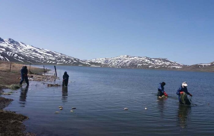 پایداری نسبی تالاب نئور پس از اجرای طرح‌های احیا