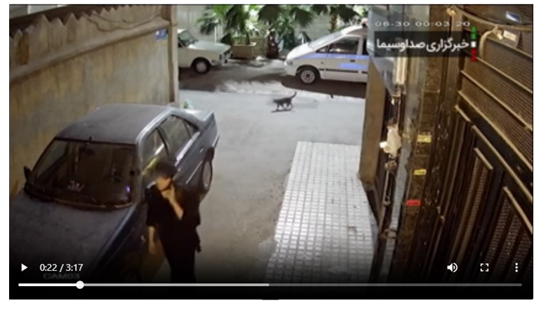 راستیآزمایی گزارش بیبیسی در مورد جزئیات مرگ نیکا شاکرمی