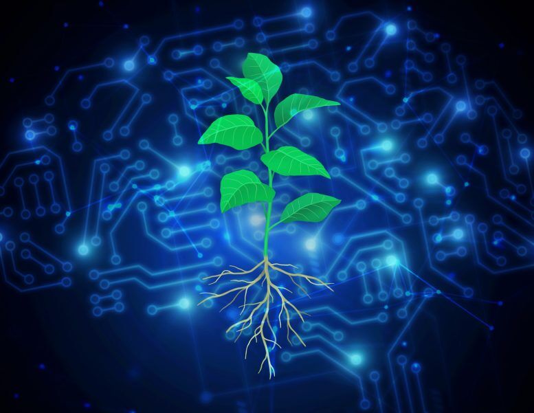 انقلاب سبز۲؛ استفاده از هوش مصنوعی برای پرورش گیاهان جاذب کربن+فیلم