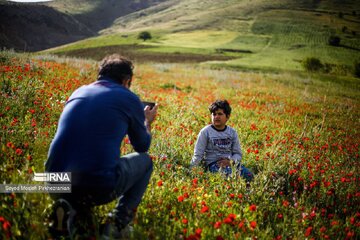 Découvrez en image le printemps du Kurdistan coloré
