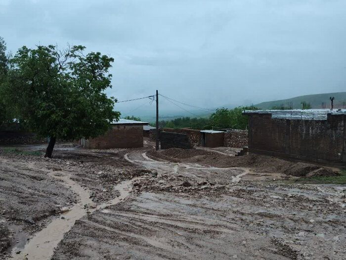 سیل به ۵ واحد مسکونی در هرسین خسارت وارد کرد 