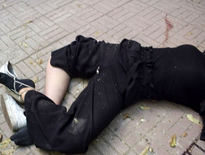 انتشار تصاویر و مستندات جدید از جزئیات پرونده مرگ نیکا شاکرمی