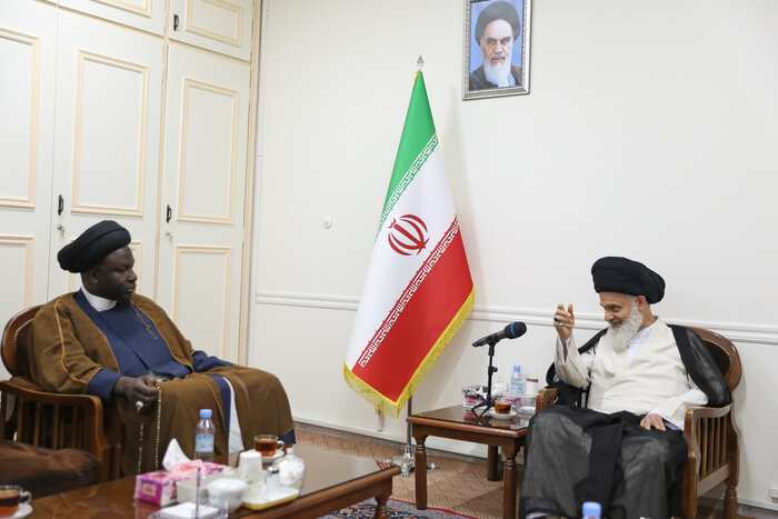 رهبر شیعیان کشور مالی با رئیس جامعه مدرسین حوزه علمیه قم دیدار کرد