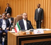 Les efforts régionaux pour arrêter la guerre à Gaza s'intensifient (Amirabdollahian)