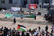 Ирландские студенты присоединились к пропалестинским протестам