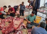 نظارت رایگان ۳۶ تیم عملیاتی دامپزشکی بر کشتار دام عید قربان بوشهری‌ها