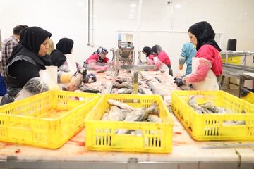 کارخانه فرآوری و بسته‌بندی آبزیان در چهارمحال و بختیاری افتتاح شد