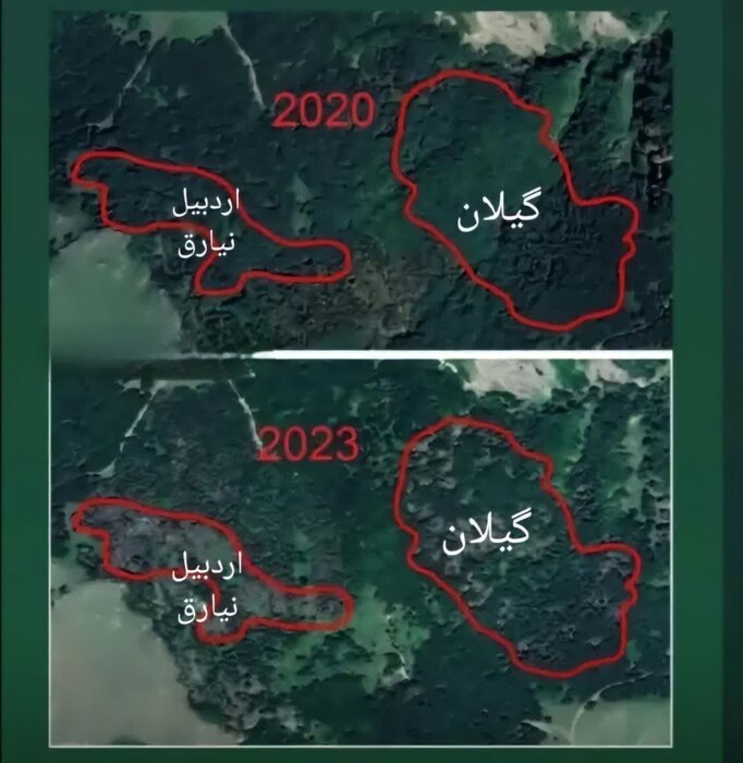 قطع درختان جنگلی فندقلوی نمین صحت ندارد / آماده برگزاری تور رسانهای هستیم