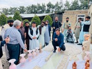 ترکمنستان آمادگی امضای قرارداد با فابریکه پروسس سنگ‌های زینتی را اعلام کرد