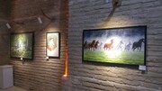نمایشگاه نقاشی "سرزمین مادری" در تربت‌حیدریه دایر شد