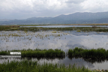 Aumenta el nivel de agua del lago Zaribar