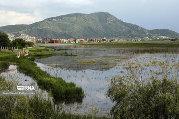 Aumenta el nivel de agua del lago Zaribar