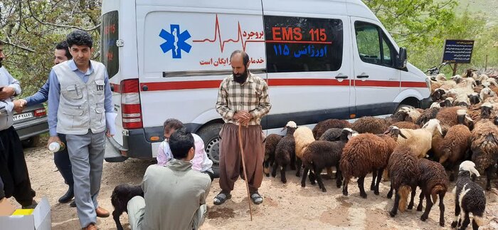 درنگی بر زندگی زنان عشایر بروجرد