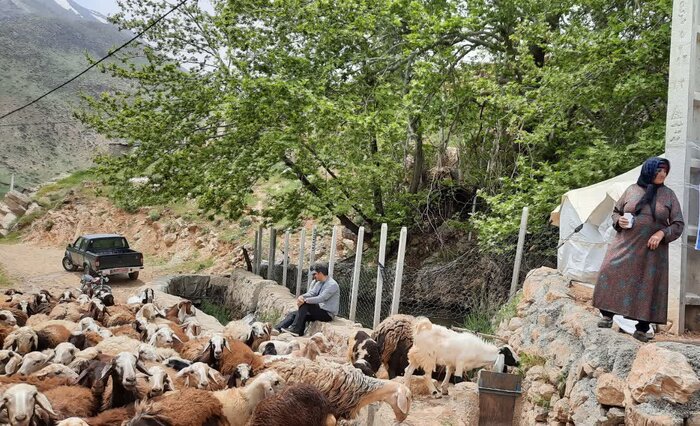 درنگی بر زندگی زنان عشایر بروجرد