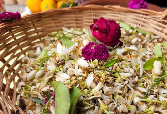 عطر بی رقیب بهار نارنج شیراز در سایه نگاه سنتی جان می دهد