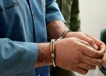 سارق سابقه‌دار دشتستان با ۱۶ فقره سرقت دستگیر شد