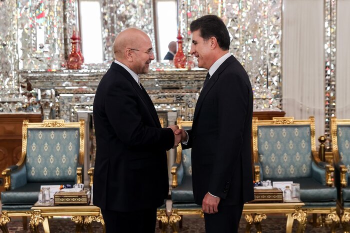 نچیروان بارزانی با رئیس مجلس شورای اسلامی دیدار کرد